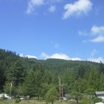 View up Tiger Mountain from the park